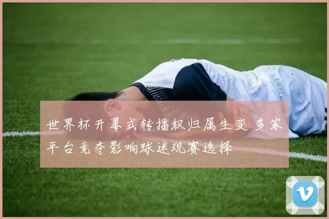 世界杯开幕式转播权归属生变 多家平台竞夺影响球迷观赛选择