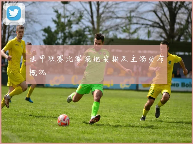 法甲联赛比赛场地安排及主场分布概况