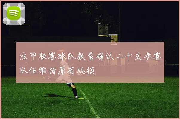 法甲联赛球队数量确认二十支参赛队伍维持原有规模